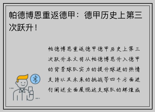 帕德博恩重返德甲：德甲历史上第三次跃升！